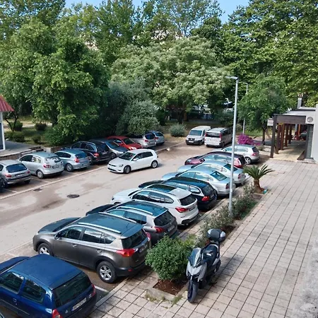Centar Bar *